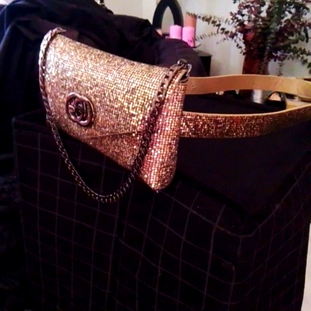 Gold Belt Pouch FANNYPACK